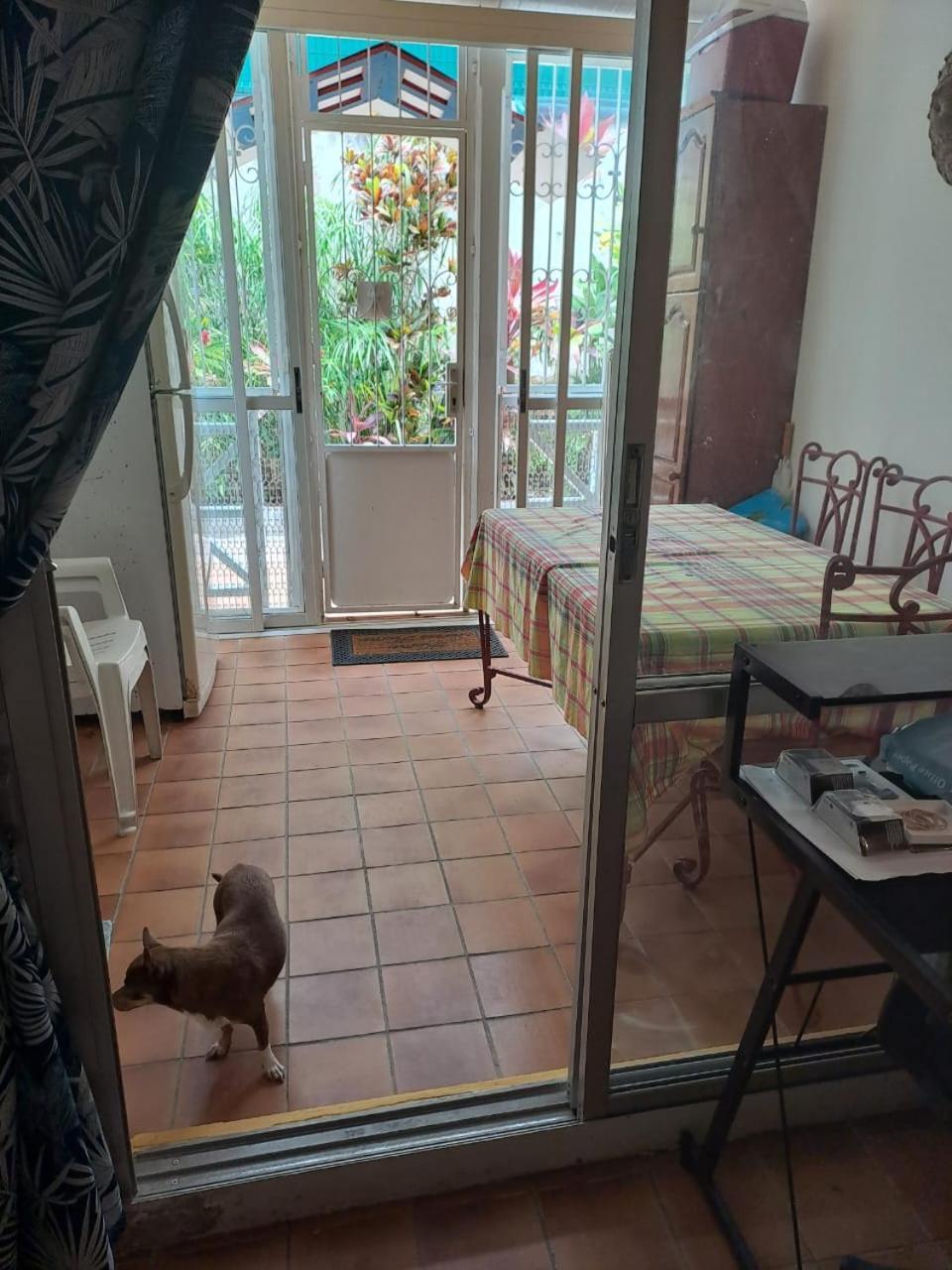 Appartement T2 Meuble Tout Confort Le Gosier  Bagian luar foto